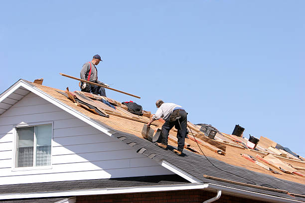 Best Roof Maintenance and Cleaning  in Red Boiling Springs, TN